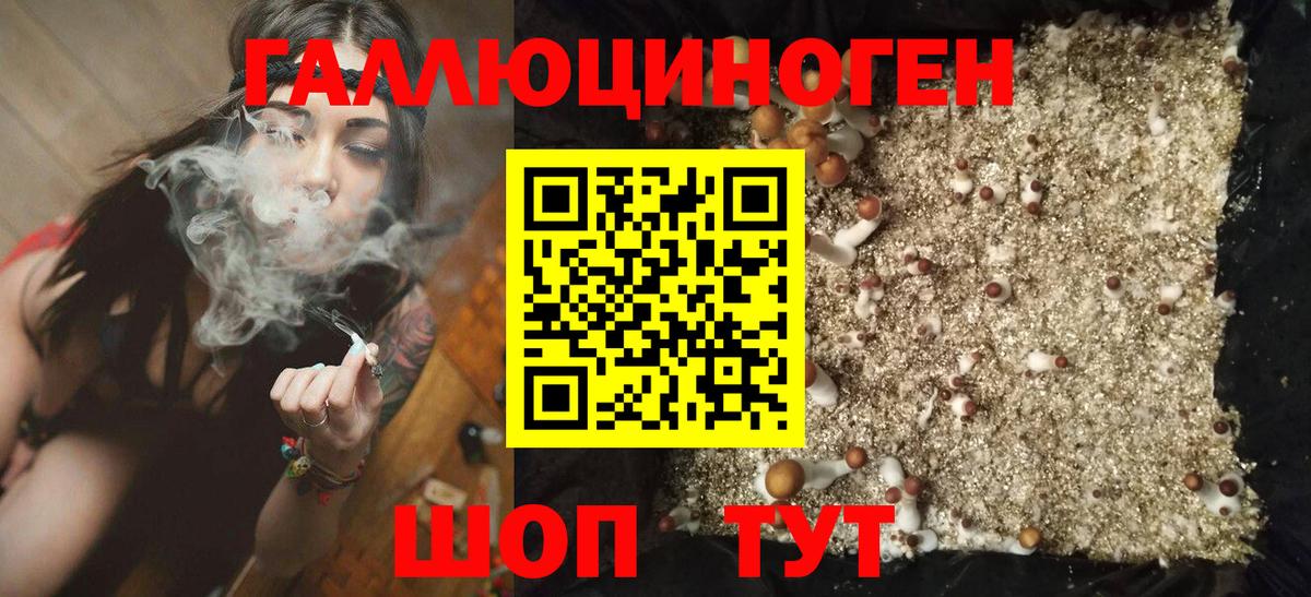 купить наркоту  Псилоцибиновые грибы Cubensis  Вход с VPN  Заводоуковск 